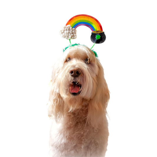 Midlee St. Patrick's Rainbow Pot of Gold Dog Headband Costume