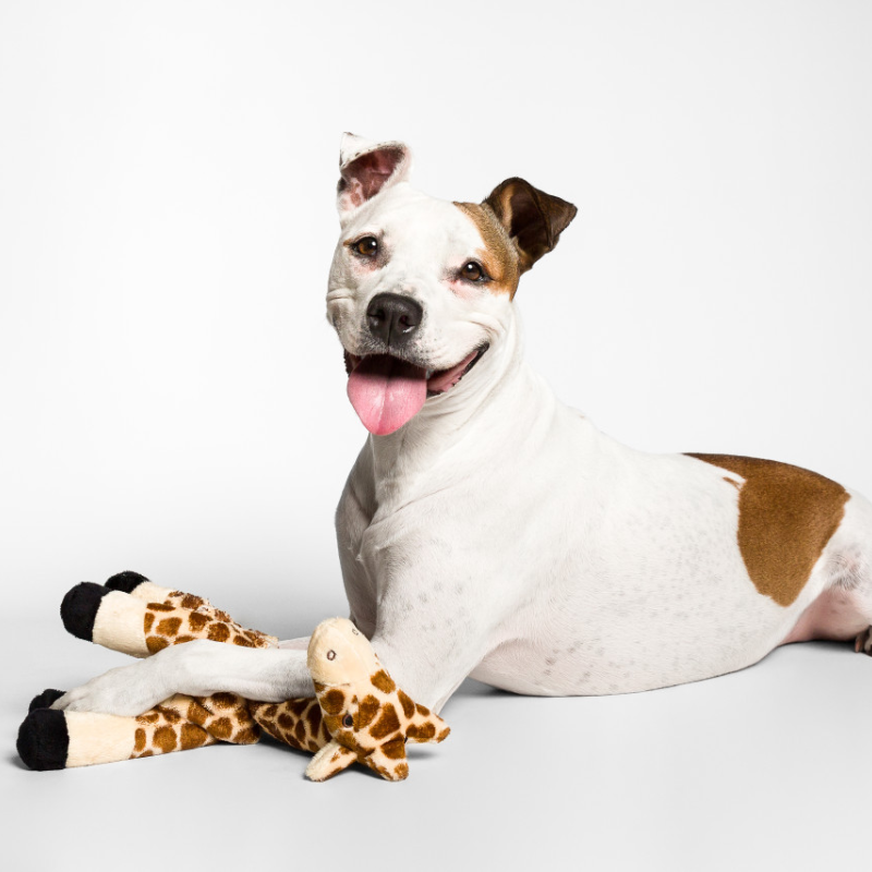 Fluff & Tuff Nelly the Giraffe Dog Toy - 13"
