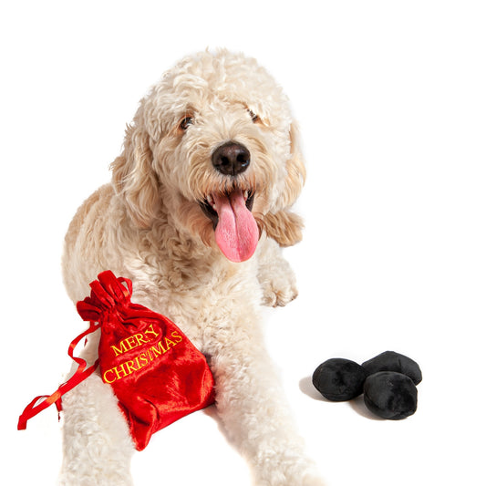 Midlee Bag of Coal Plush Christmas Dog Toy - 3"- Squeaky Interactive Pet Present