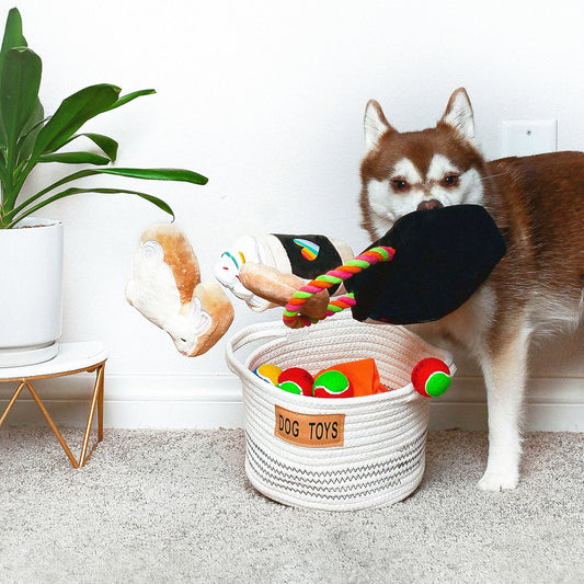 Midlee Dog Toy Rope Cotton Basket