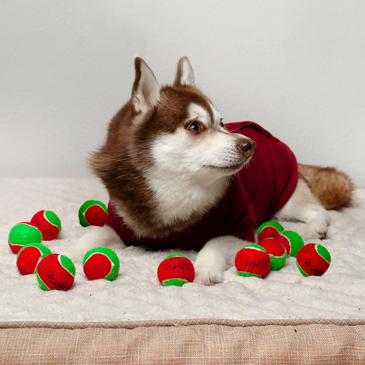 Midlee Merry Christmas Dog Tennis Balls