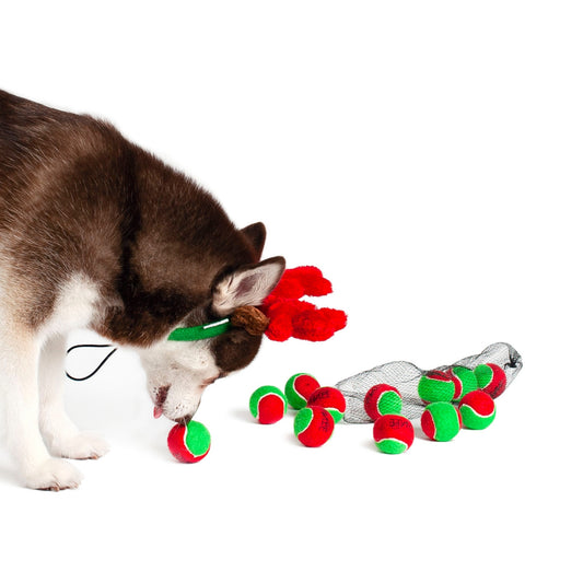 Midlee Filled Dog Stocking- Reindeer Antlers and 10 Mini Tennis Balls