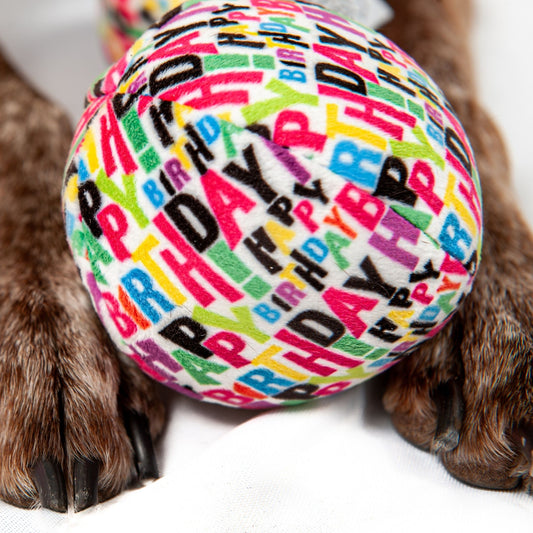 Midlee Plush Birthday Balls Dog Toy- Set of 3