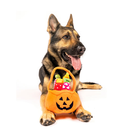 Midlee Find a Toy Halloween Pumpkin Bucket Dog Toy