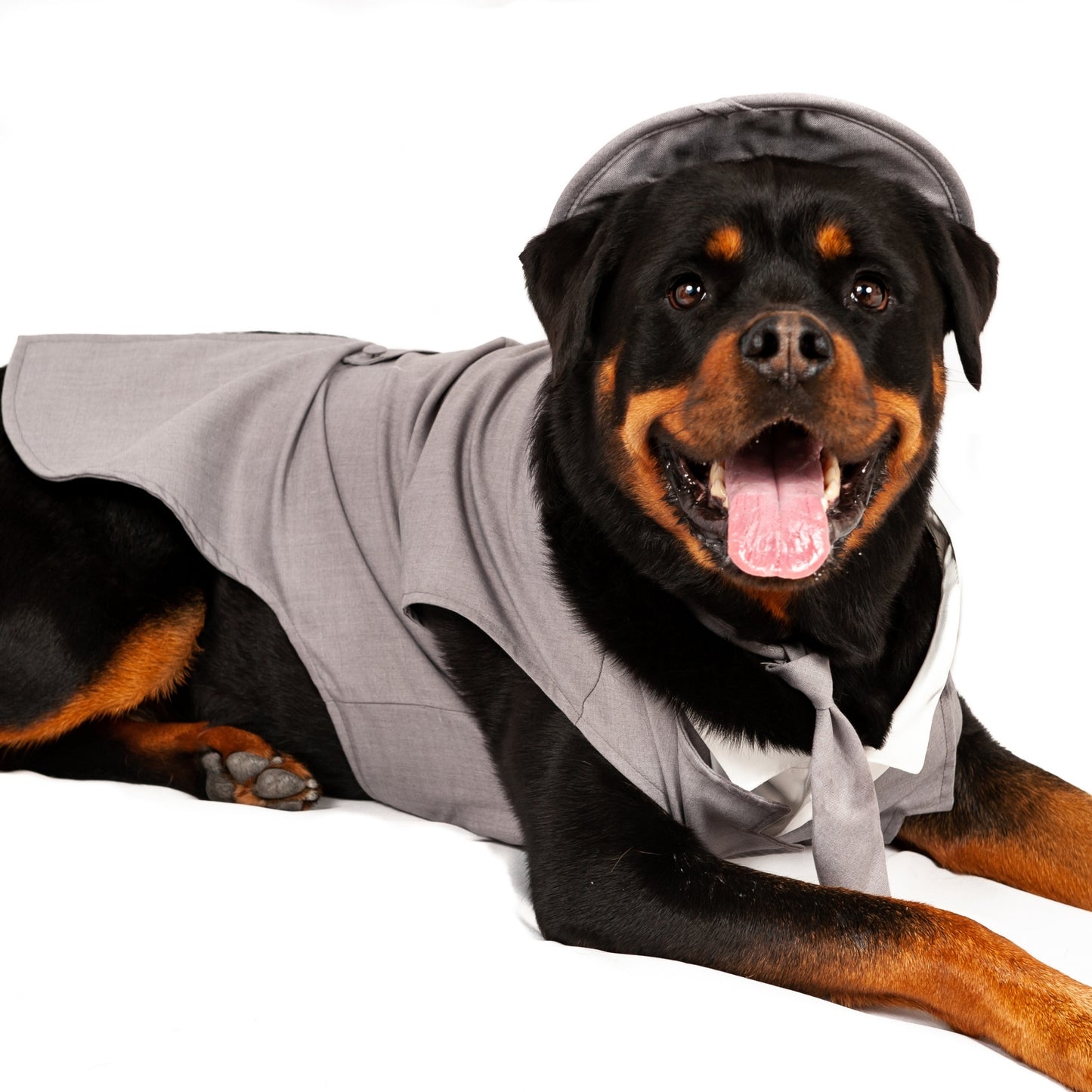 Midlee Dog Tuxedo Wedding Suit- Gray Top Hat & Leash