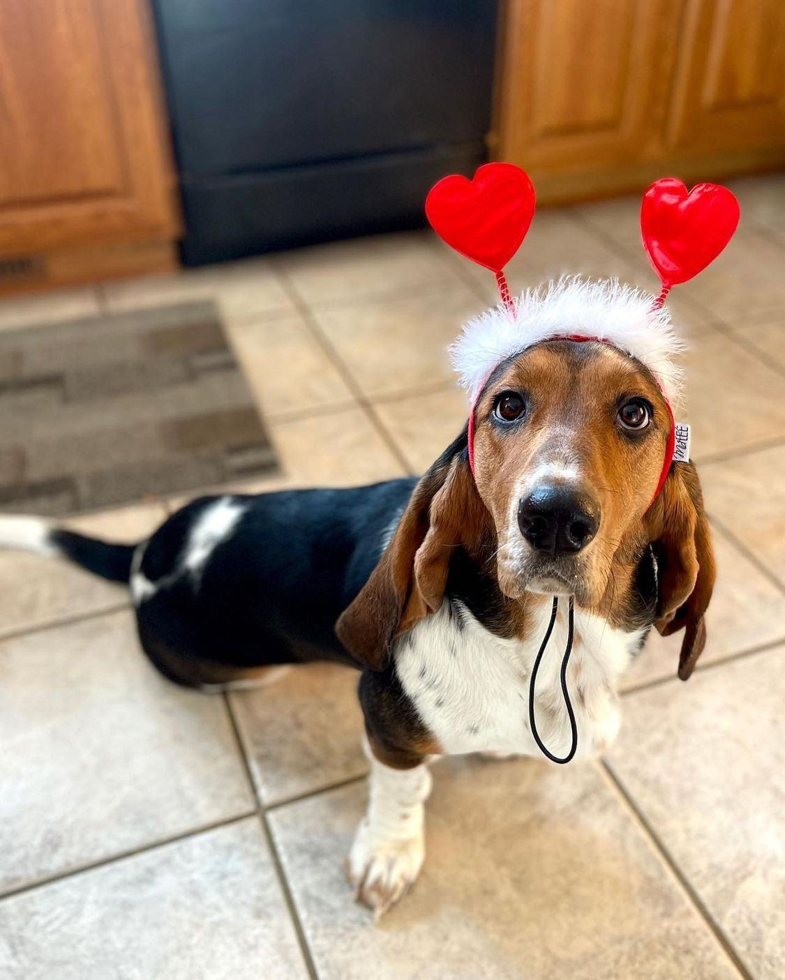 Midlee Valentine's Heart Large Dog Headband