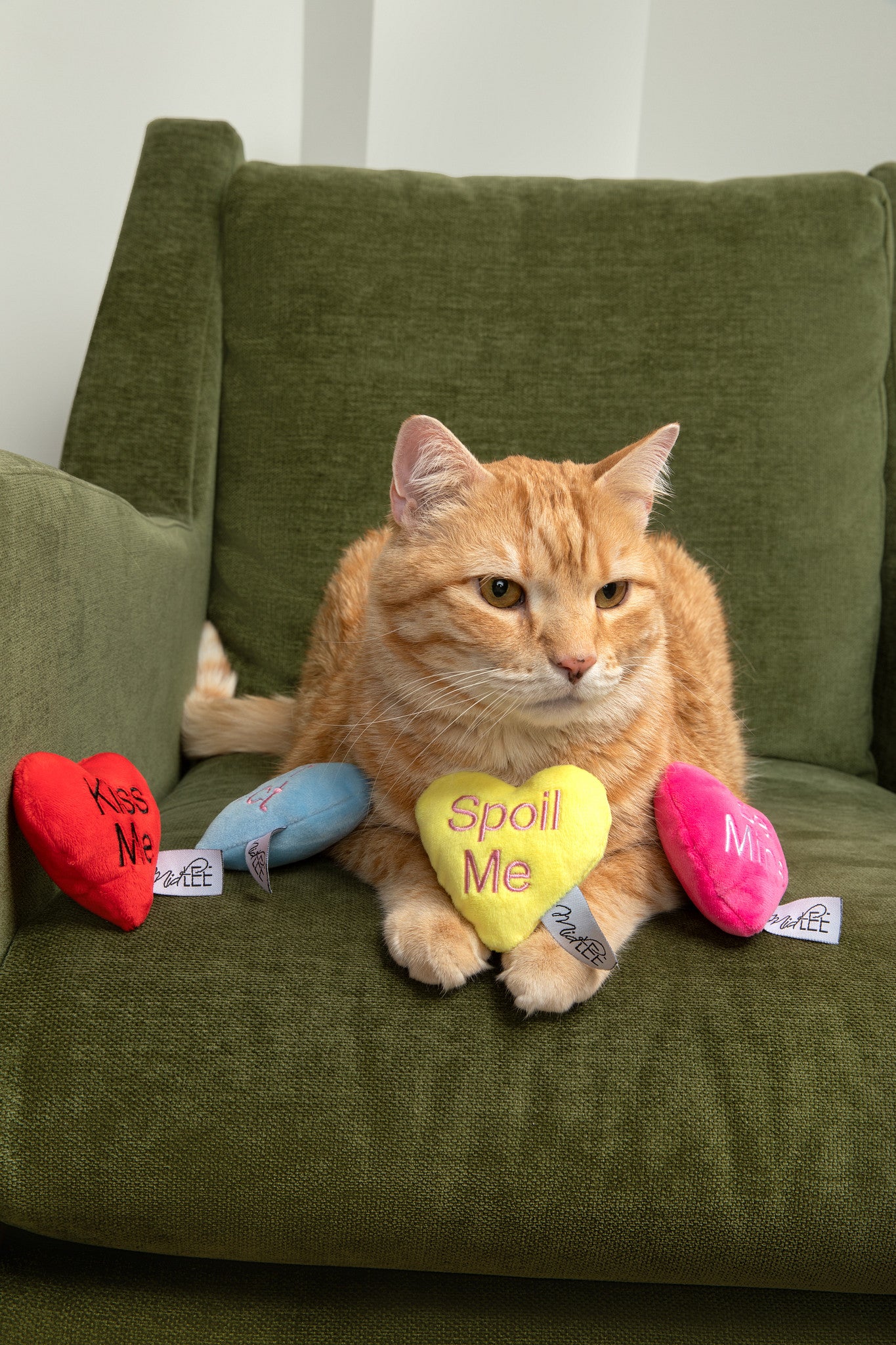 Midlee Candy Heart Valentine's Cat Toy with Catnip, Plush, 4 Pack, Valentine's Day Theme