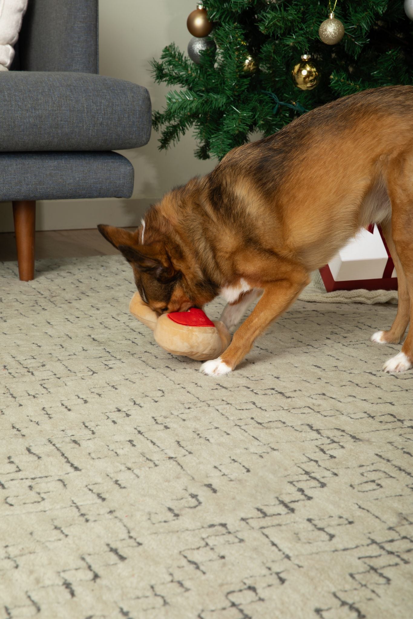 Midlee Santa Boot Sugar Cookie Dog Toy