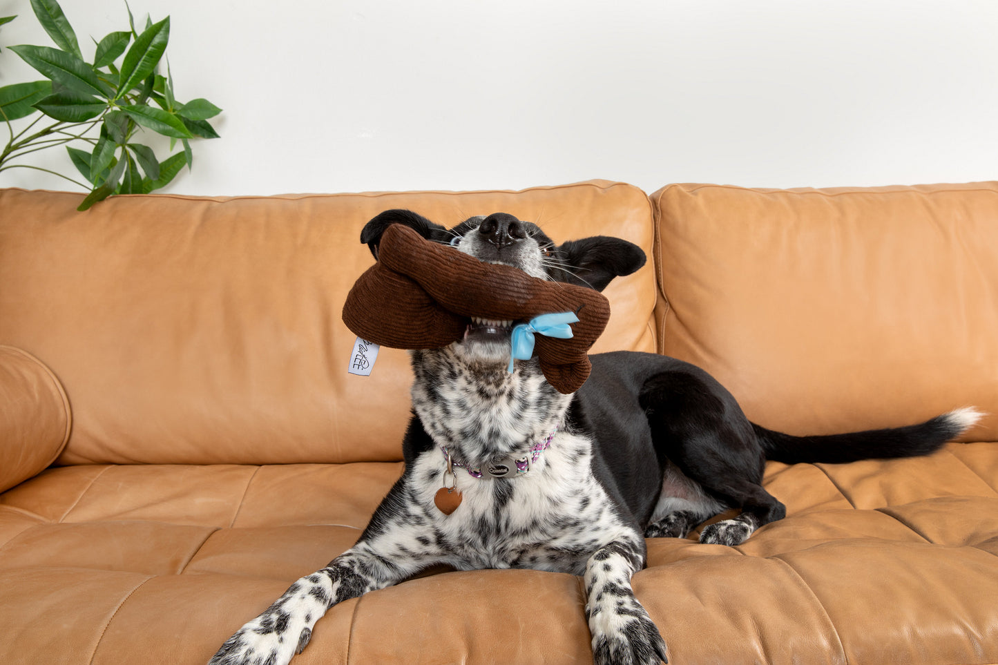 Midlee Plush Chocolate Bunny Easter Dog Toy with Squeaker, Medium to Large, Brown, 9"