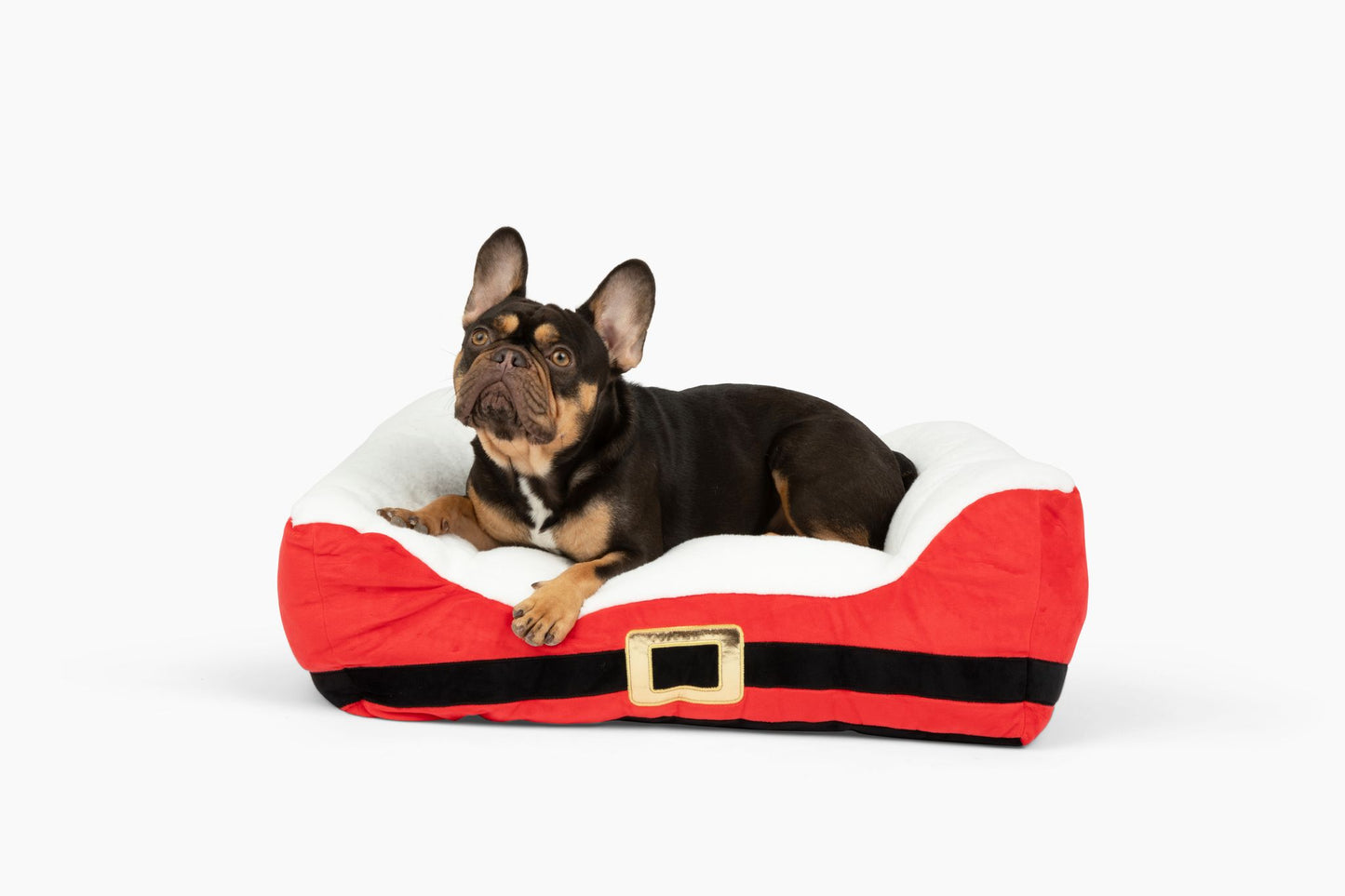 Santa's Belt Christmas Dog Bed