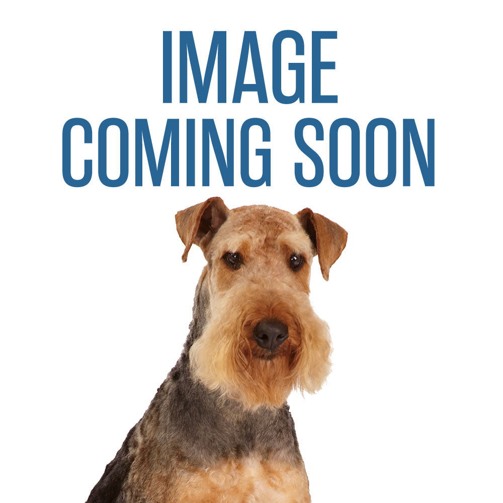 Cruising Companion Grey Black On The Go Dog Backpack Carrier
