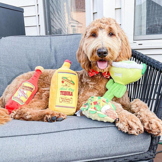 Lulubelles Bad Dog Tequila Plush Dog Toy (Large)