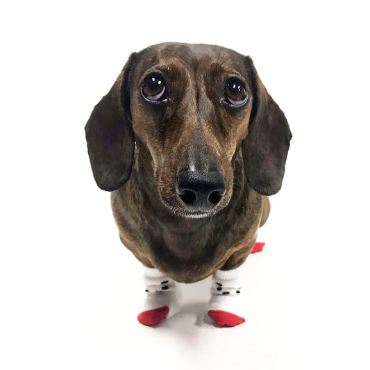Midlee Christmas Socks for Dogs