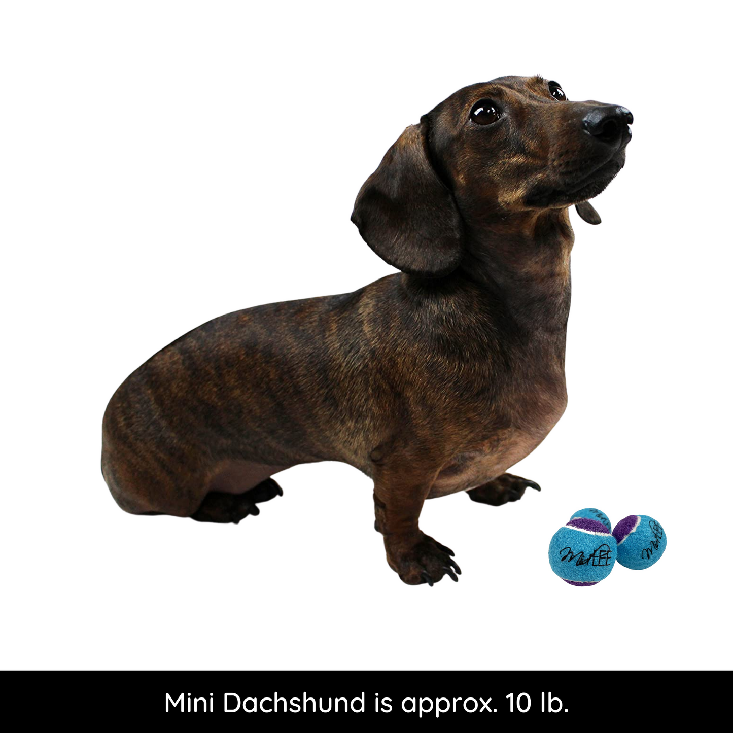 Midlee X-Small Dog Tennis Balls 1.5" Pack of 12 (Assorted, 1.5 inch)