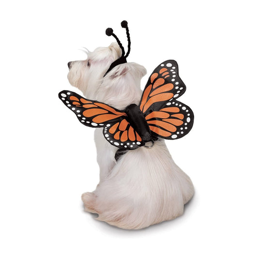 Zack & Zoey Butterfly Glow Harness Costume for Dogs, Small