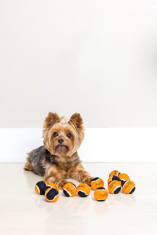 Midlee Orange/Black Mini Dog Halloween Tennis Balls- Set of 12