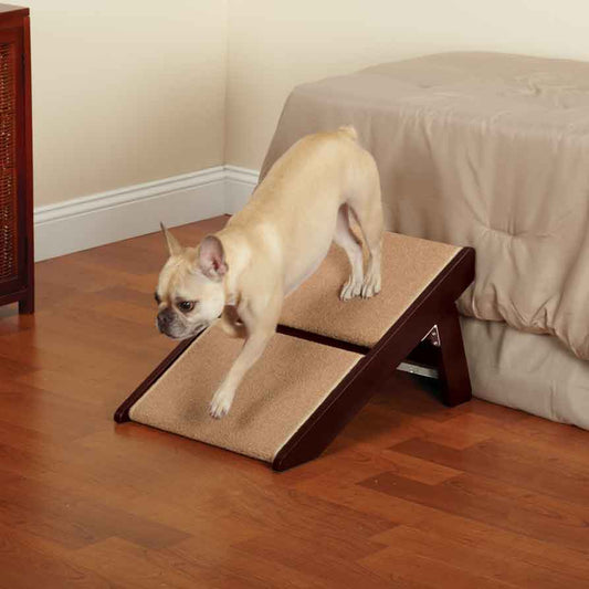 Pet Studio RampStep 2 Steps