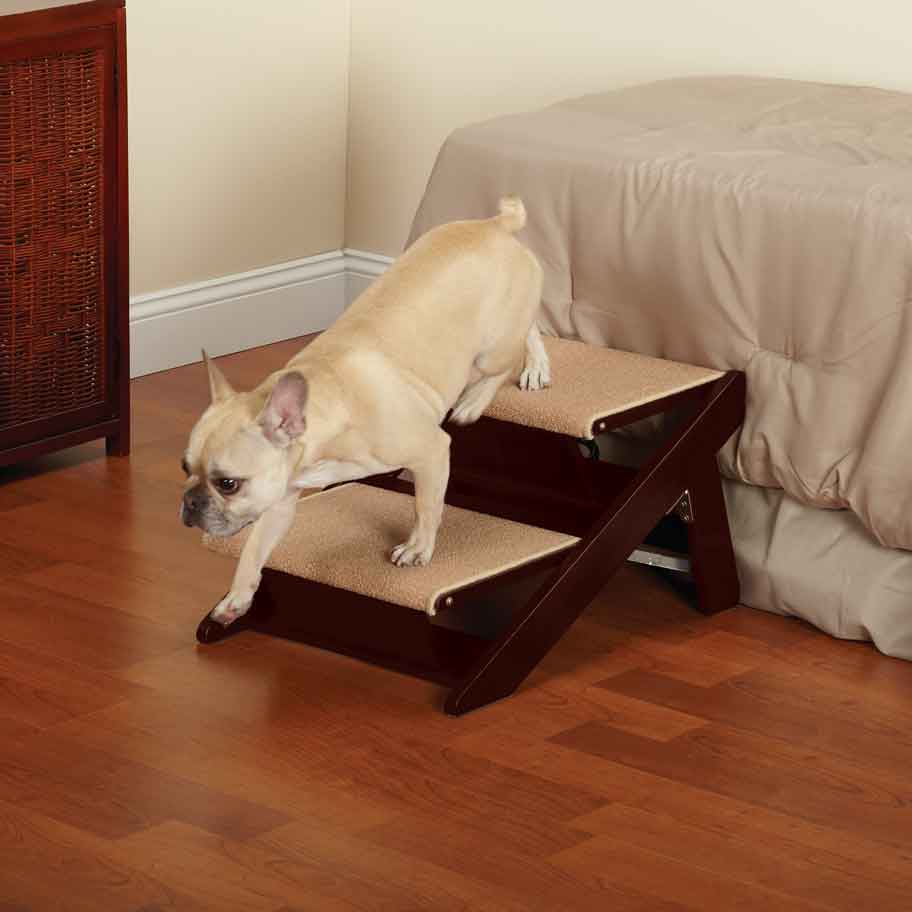 Pet Studio RampStep 2 Steps