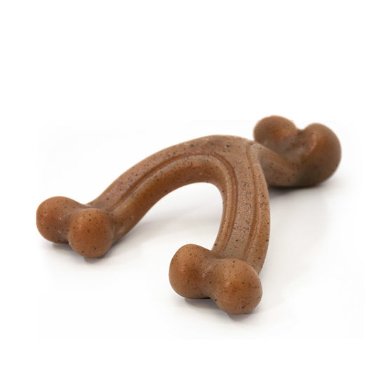 Nylabone Gourmet Style Strong Chew Wishbone Chew Toy - Bacon Flavor (Small/Regular)