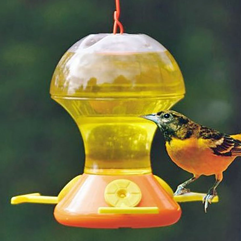 Songbird Essentials Orange/Clear Fliteline Oriole Feeder With Bee Guards - 48 Ounce