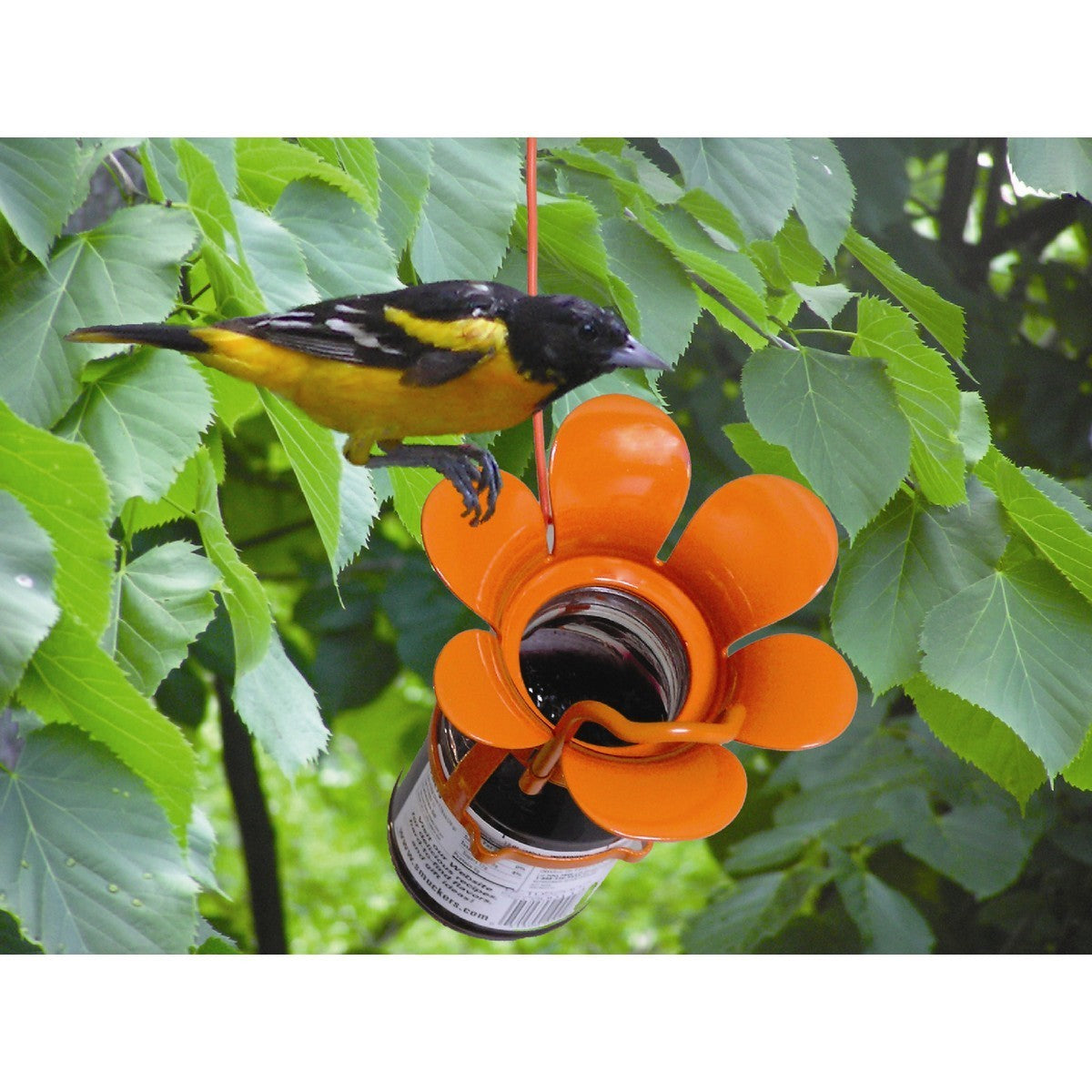 Songbird Essentials Orange Jelly Jam Fliteline Oriole Feeder - 6.5"