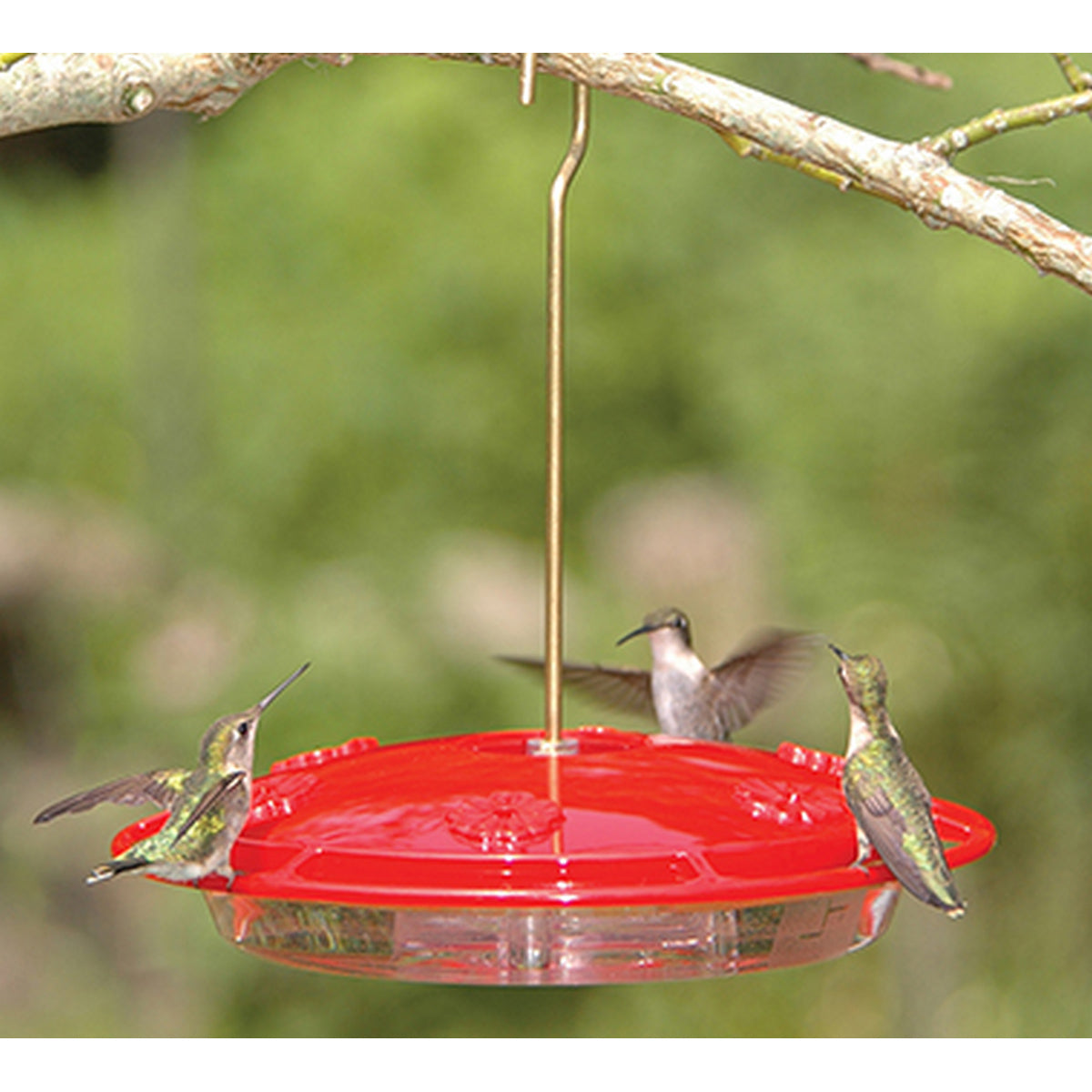 Aspects HummZinger Excel Hanging Hummingbird Feeder with Built in Ant Moat - 16 oz (Red)