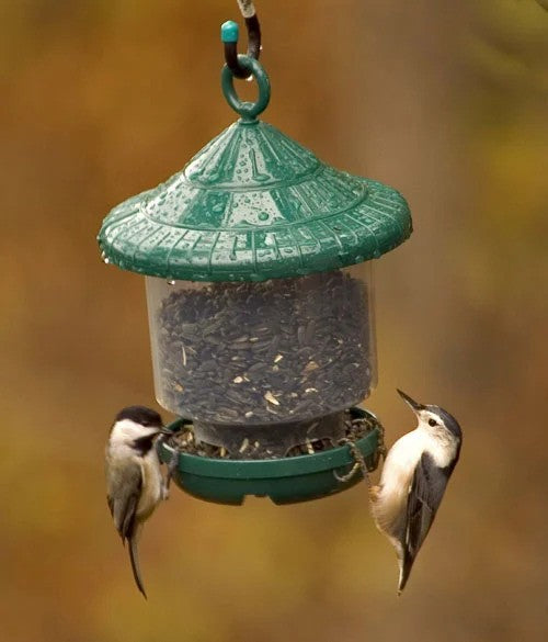 Songbird Essentials Green Clingers Only Bird Feeder (8.5" Tall)