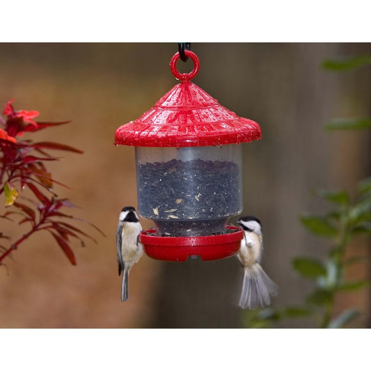 Songbird Essentials Red Clingers Only Bird Feeder (8.5" Tall)