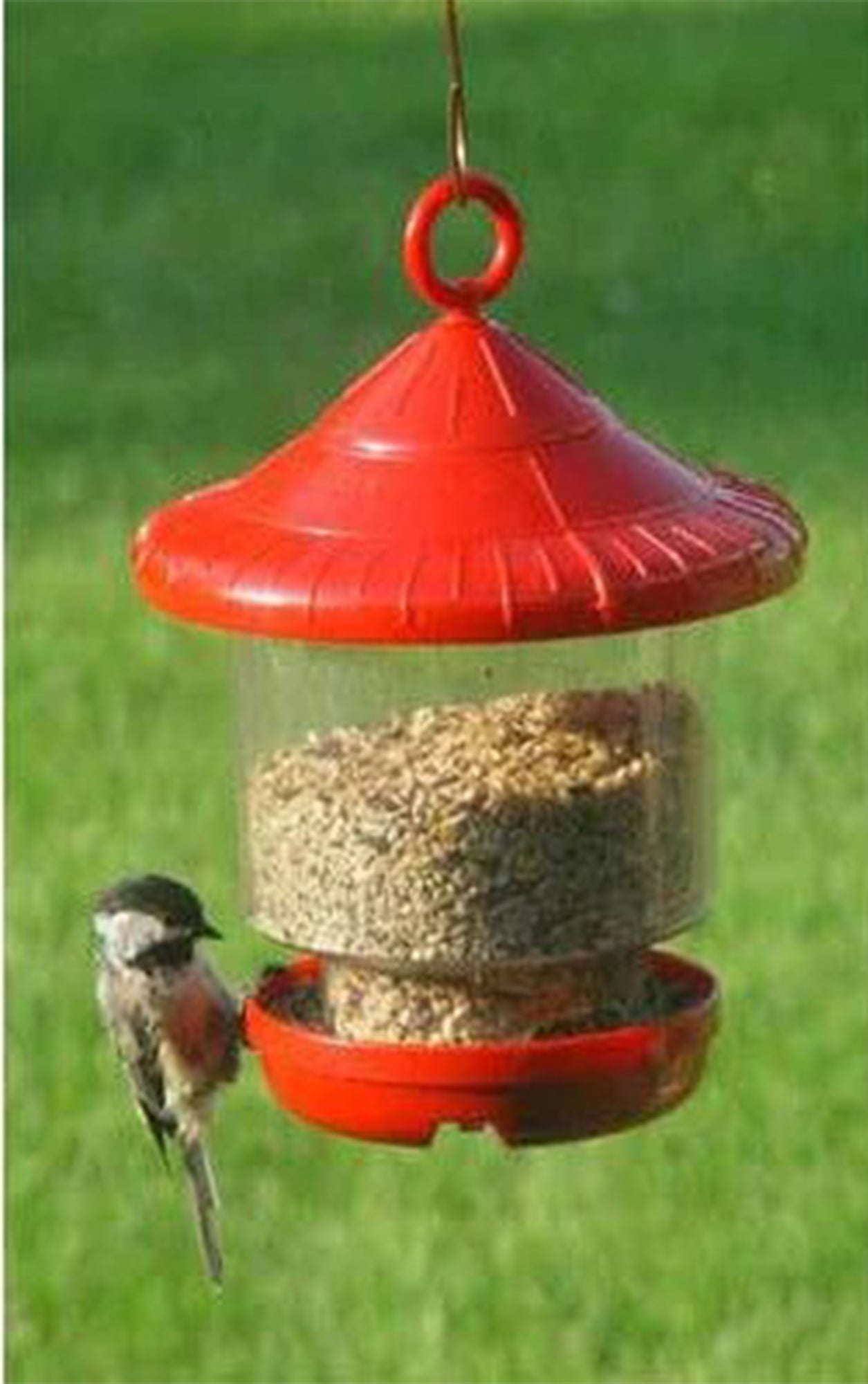 Songbird Essentials Red Clingers Only Bird Feeder (8.5" Tall)