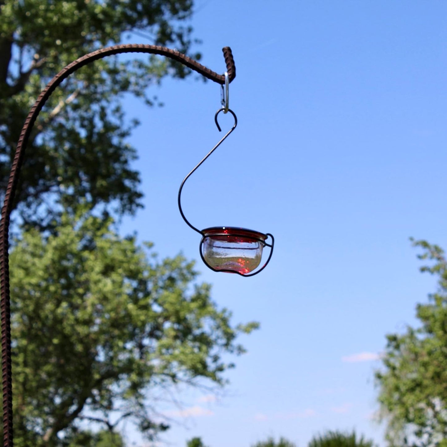 Backyard Essentials Clear Bubble Glass Hanging Hummingbird Feeder - 6 oz