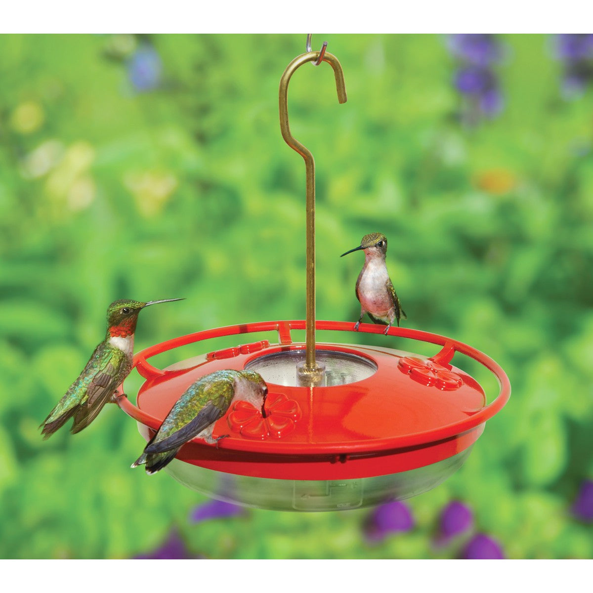 Aspects HummZinger High View Mini Hanging Hummingbird Feeder - 8 oz (Red)