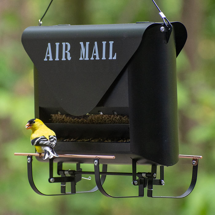 Woodlink Modern Farmhouse Absolute Squirrel Resistant Air Mail Weight Sensitive Bird Feeder - Black/White