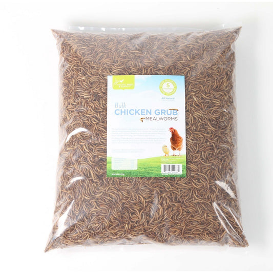 Pacific Bird & Supply Co. Chicken Grub Mealworm 5 Oz