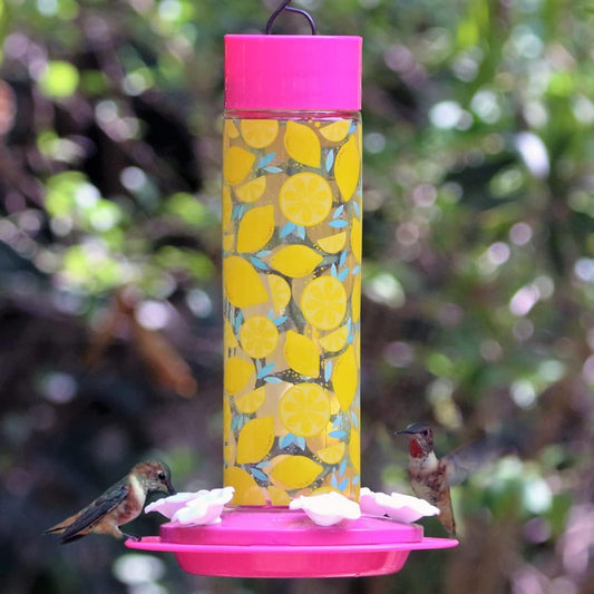 Nature's Way Yellow Citrus Lemonade Stand Hummingbird Feeders - 20 Oz