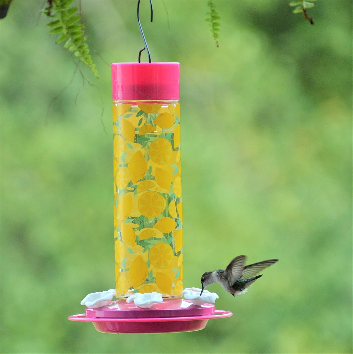 Nature's Way Yellow Citrus Lemonade Stand Hummingbird Feeders - 20 Oz