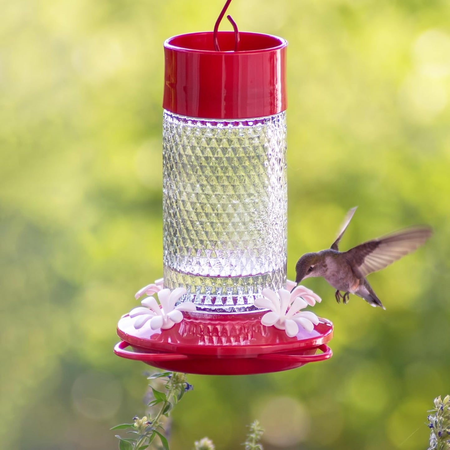 Nature's Way Red Charming Cherry Glass Hummingbird Hanging Glass Feeder - 13 Oz