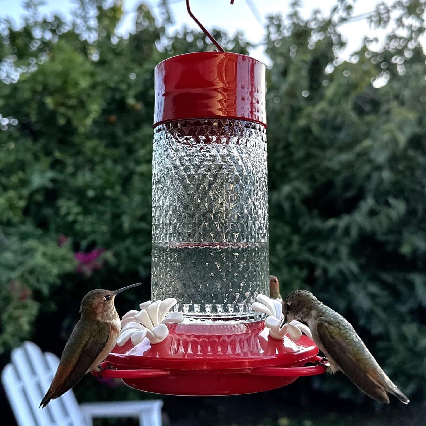 Nature's Way Red Charming Cherry Glass Hummingbird Hanging Glass Feeder - 13 Oz