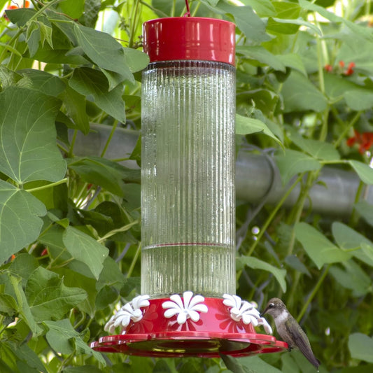 Nature's Way Red Ribbed Rose Hanging Hummingbird Feeders - 28 Oz