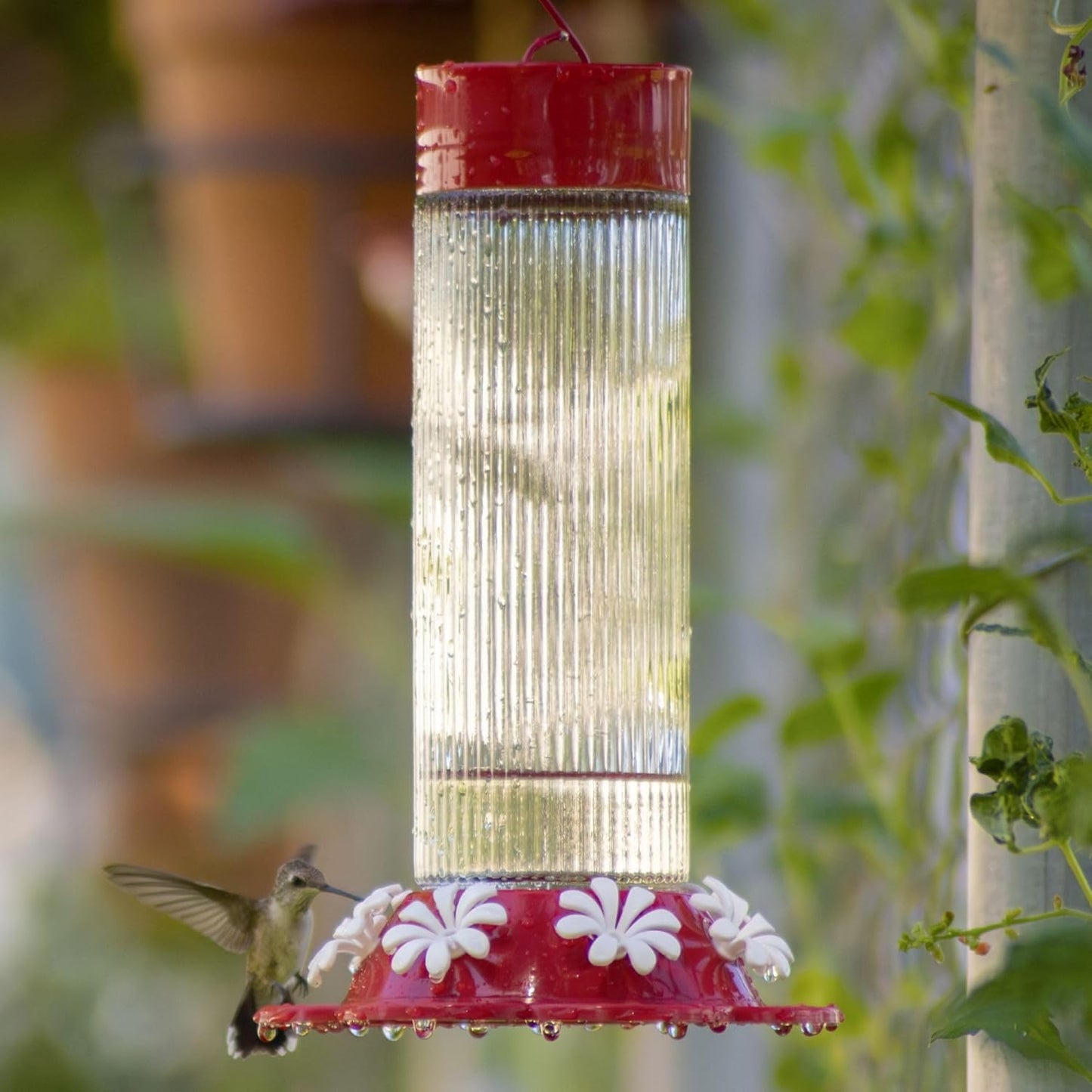 Nature's Way Red Ribbed Rose Hanging Hummingbird Feeders - 28 Oz