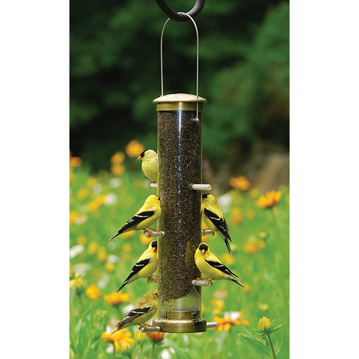 Aspects Antique Brass Medium Quick Clean Nyjer Thistle Tube Bird Feeder - 1.25 Quart