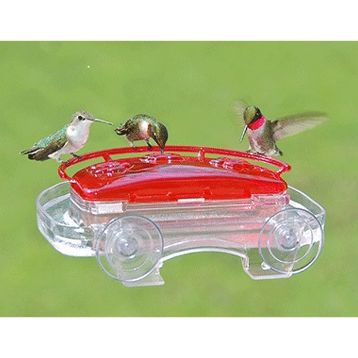 Aspects Red/Clear Jewel Box Window Hummingbird Feeder 3-Port - 8 Oz