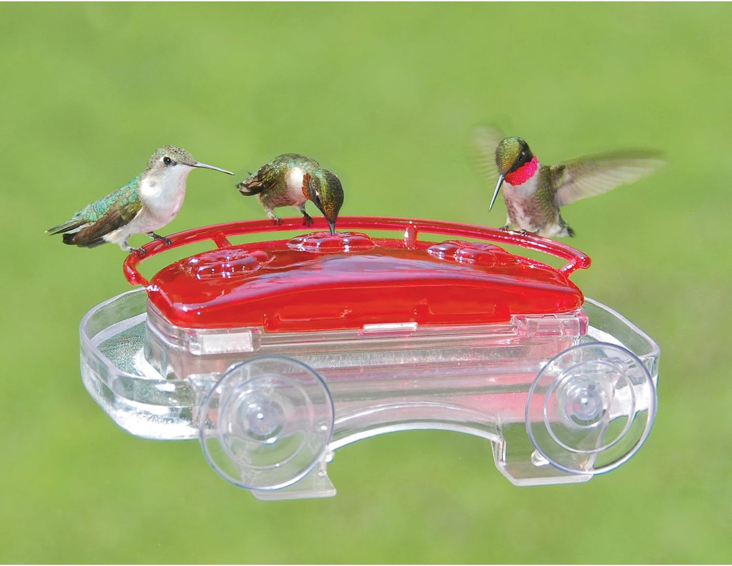 Aspects Red/Clear Jewel Box Window Hummingbird Feeder 3-Port - 8 Oz