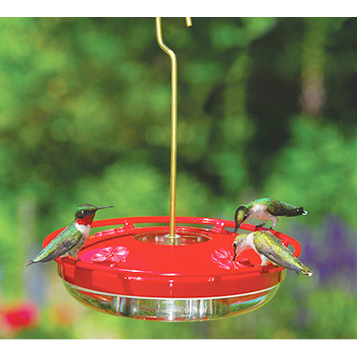 Aspects Red/Clear HummZinger HighView Hanging Hummingbird Feeder - 12 Oz