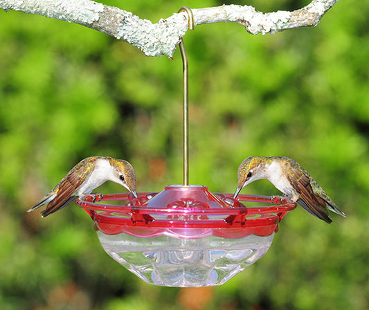 Aspects Red/Clear Mini HummBlossom Hanging Hummingbird Feeder - 4 Oz