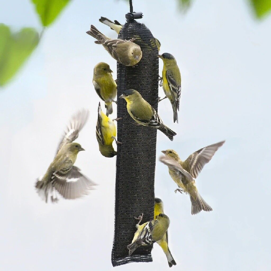 Songbird Essentials Black Finch Magic Jumbo Thistle Sack Bird Feeder - 18"