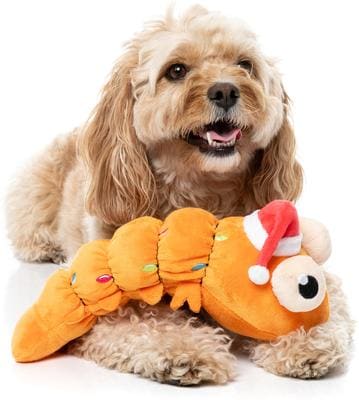 FuzzYard Holiday Dog Toy – Shelvis Presley
