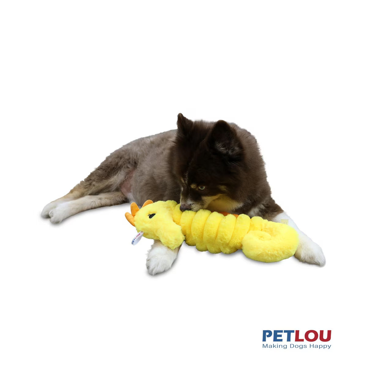 Petlou Ocean Friends Seahorse Squeaky Plush Dog Toy, 16-in