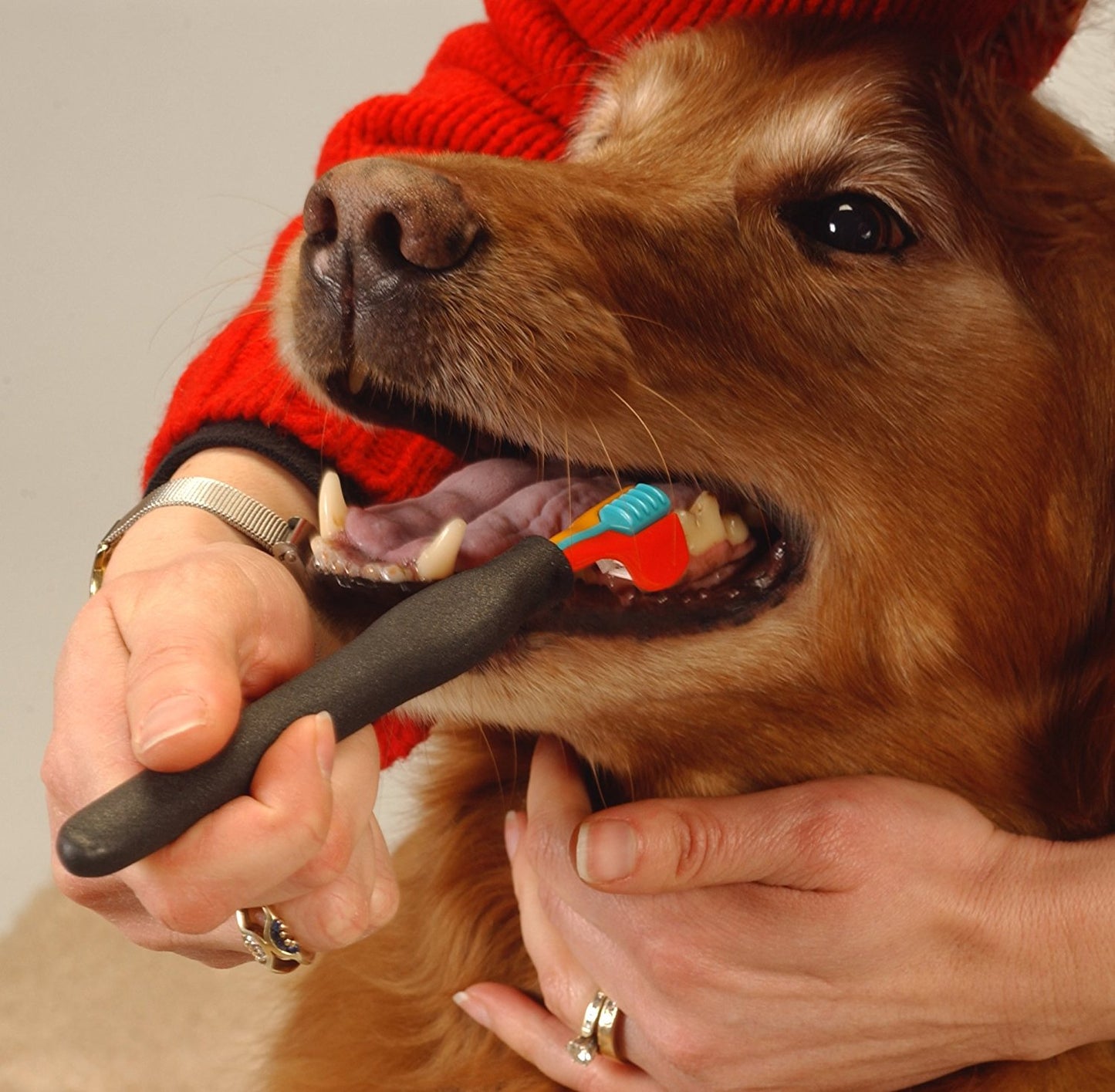 EZDOG Triple Pet Toothbrush for Large Dogs