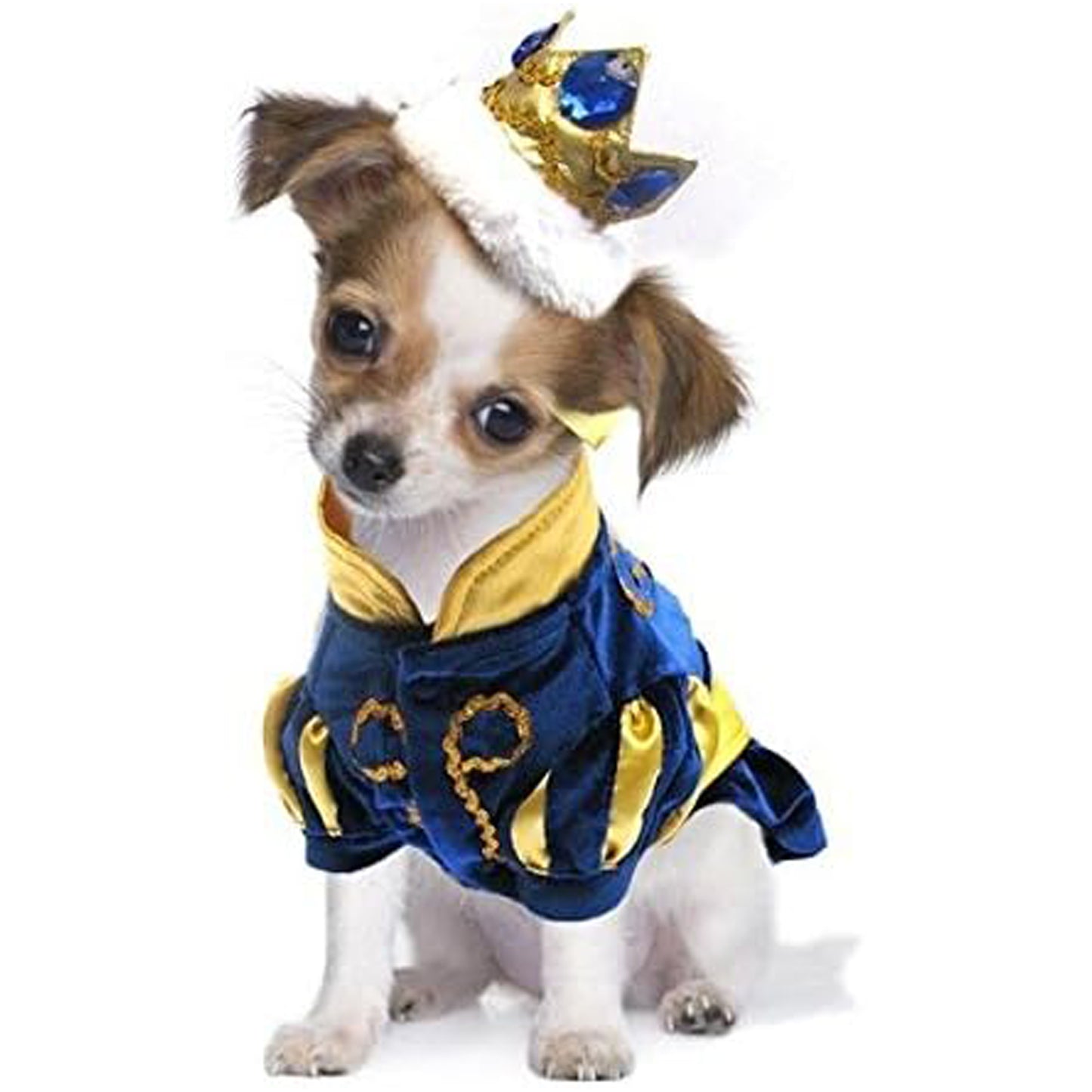 Puppe Love Prince Charming Costume for Dogs - Size 6 (16" l x 20.5" - 23.25" g)