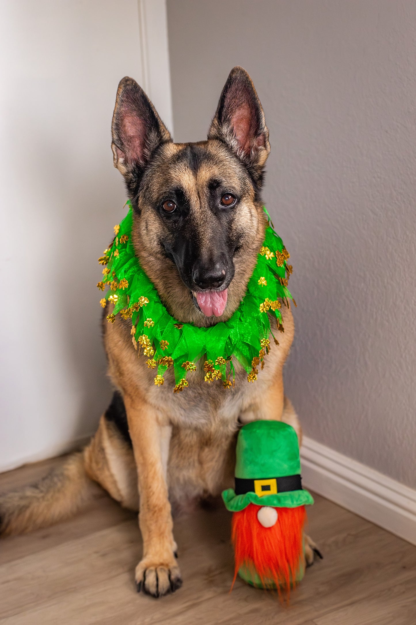 St. Patrick's Day Hide a Ball Gnome Dog Toy